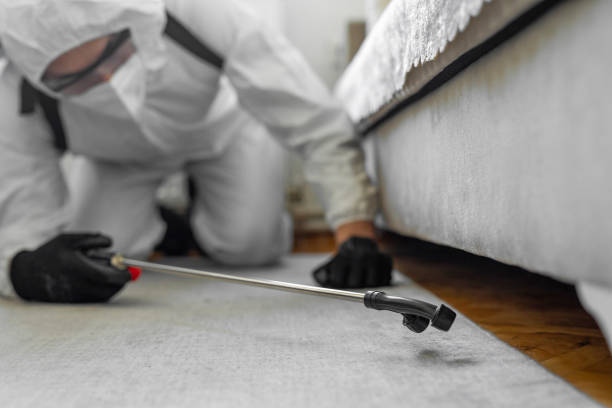 Professional Bed Bug Control technician working in Harrisville, PA